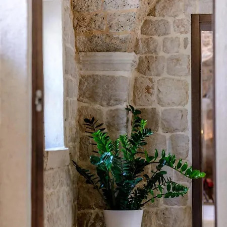 Luxury Dubrovnik 6 Bedrooms Gomila Perfect For Larger Groups Fantastic Sea Views Zaton (Dubrovnik-Neretva)